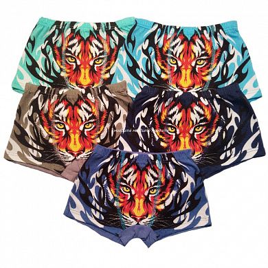 �����-������� �� ��������� "����" � ��������������-����������